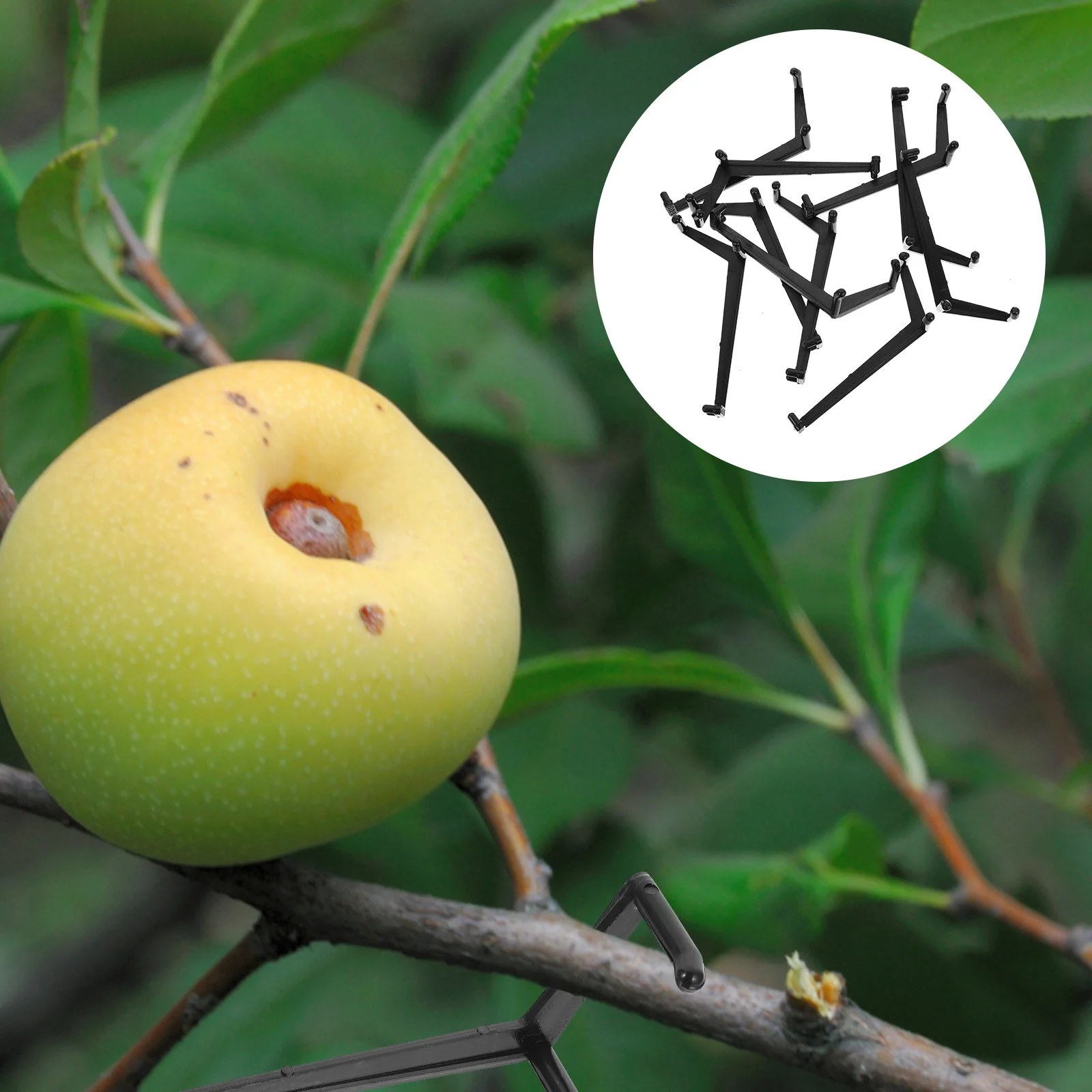 

Branch Tree Spreader Fruit Limb Clips Spreaders Branches Tool Trees Trunk Bending Support Trainer Twig Gardening Fixing Bender