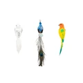 Image 14