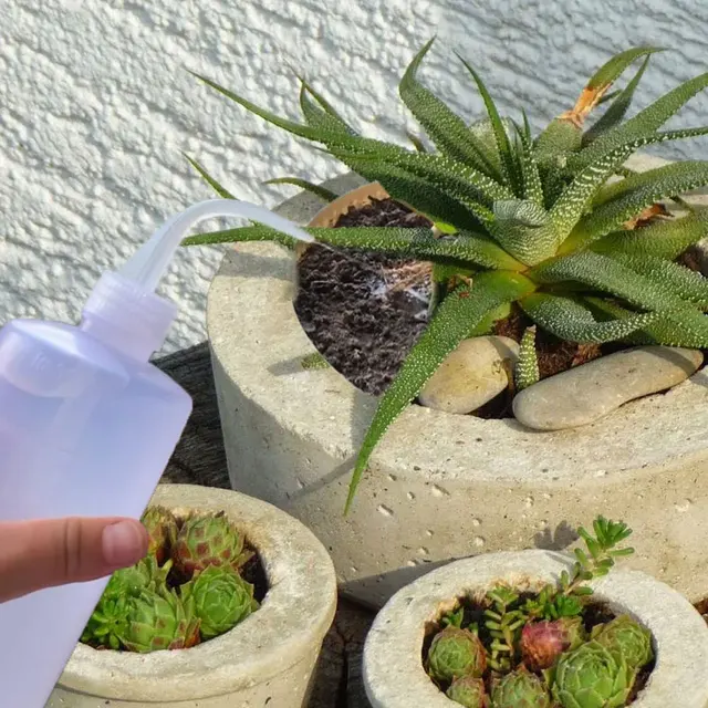 Mini Kertnövény Szerszámok Vízálló Pvc Szőnyeg Ültetőkészlet Kültéri Beltéri Bonsai Virághoz Zamatos Átültetési Ápolókészlet - Image 5