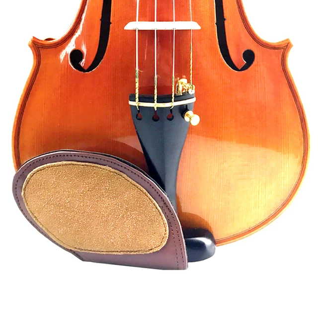 Mallette noire de rangement pour violon, étui rigide et étanche pour  accessoires d'instruments de musique - AliExpress