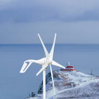 Nouveau modèle 2026 – Kit générateur éolien 800W 12V 24V 48V pour entrepôt en Pologne – Éolienne à 3/5/6 pales avec contrôleur de puissance éolienne 3