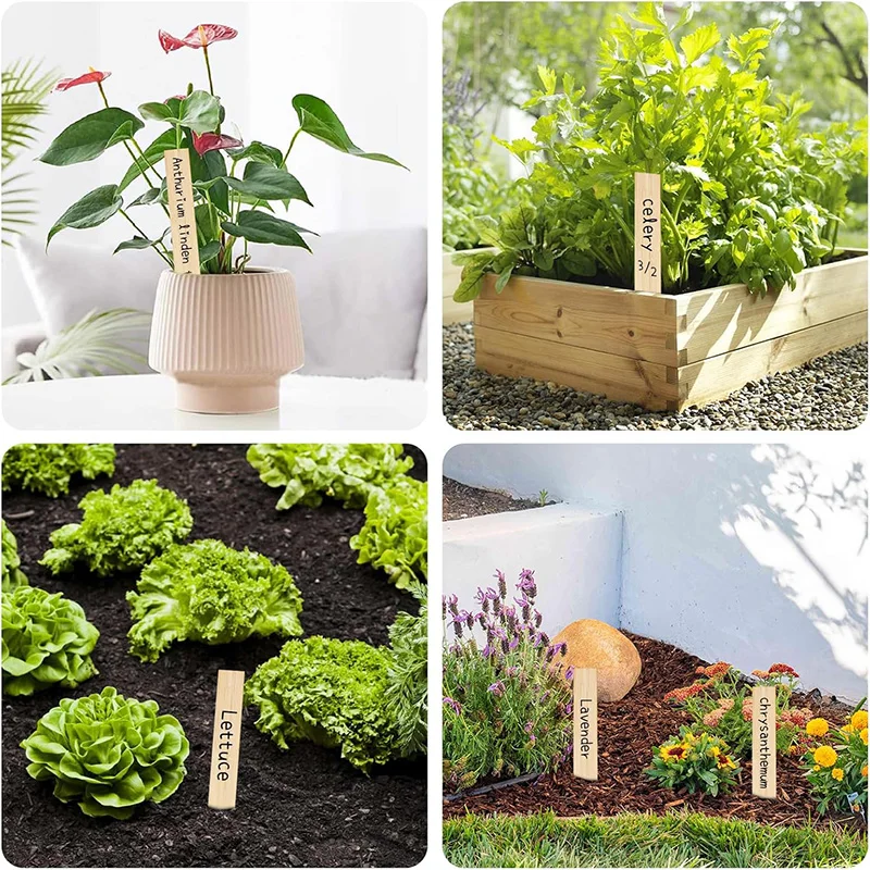 Bamboo Plant Labels Set - Eco-Friendly Garden Markers for Vegetables, Flowers, and Herbs (30-Pack)