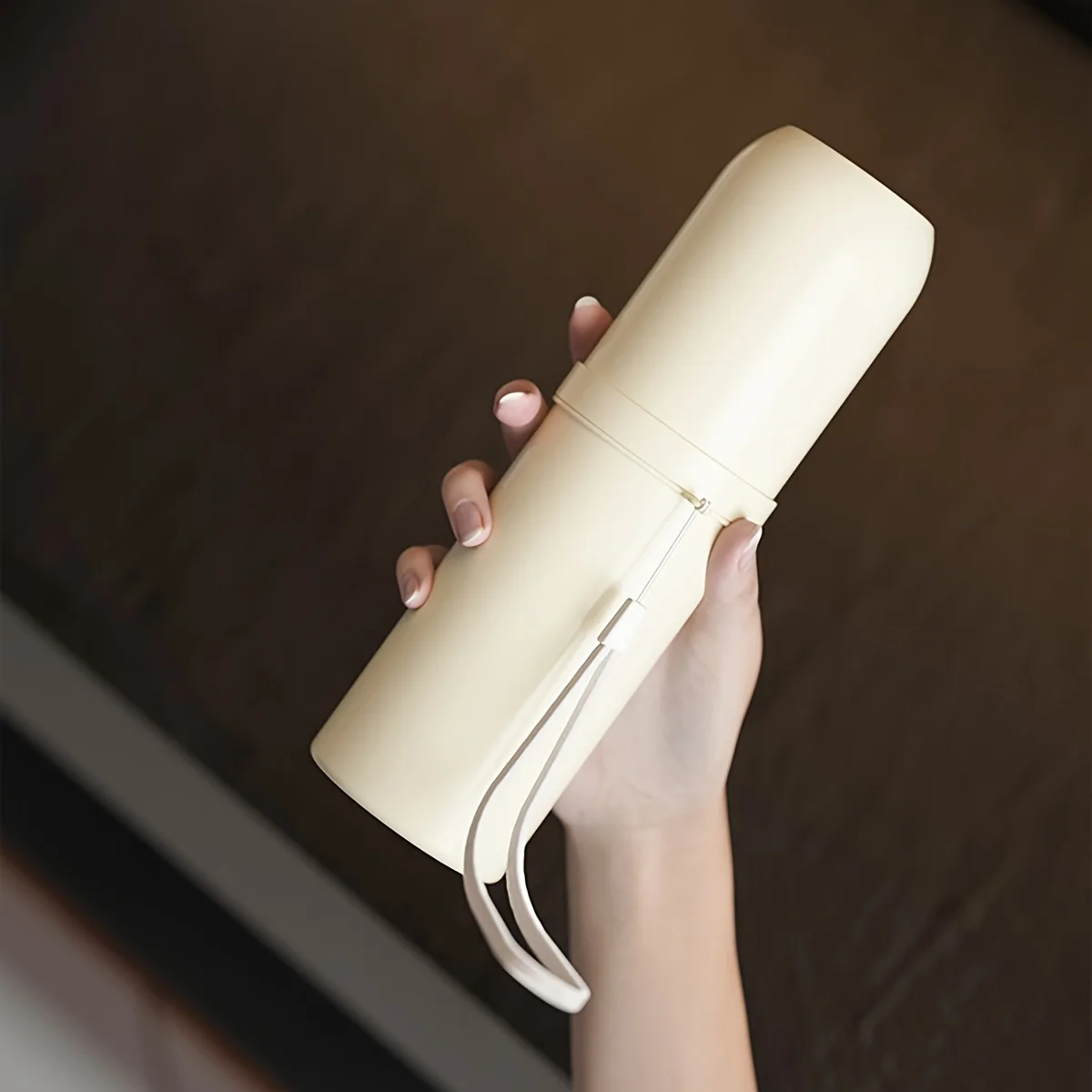 Portable Travel Toothbrush Box Set