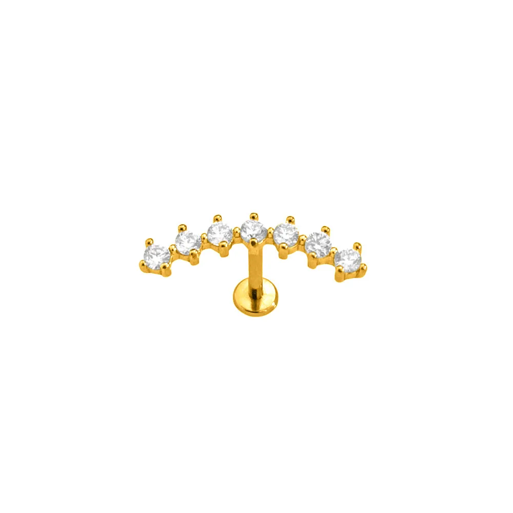 100 % 316L Chirurgenstahl 16G Blume Blatt CZ Zirkon Labret Piercing Daith Tragus Ohrringe Innengewinde Nagel Lippe Schraube Ohrstecker – Detail 3