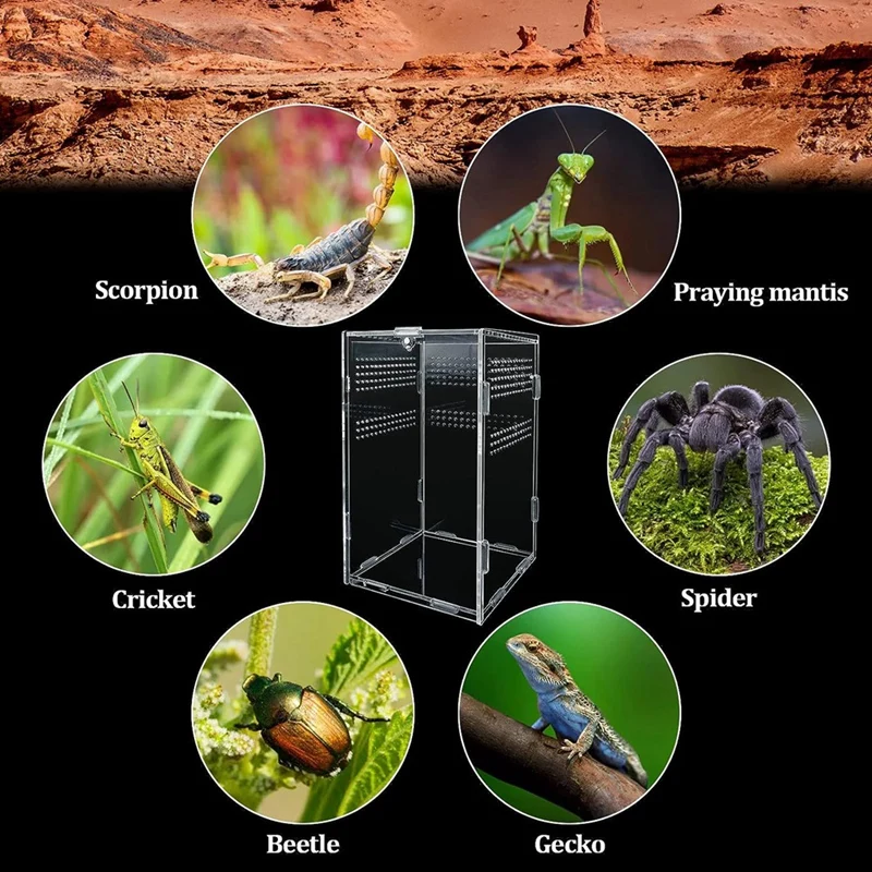Reptile Terrarium Box Reptile Food Box Fit For Spiders, Horned Frogs,Pet Snakes And Other