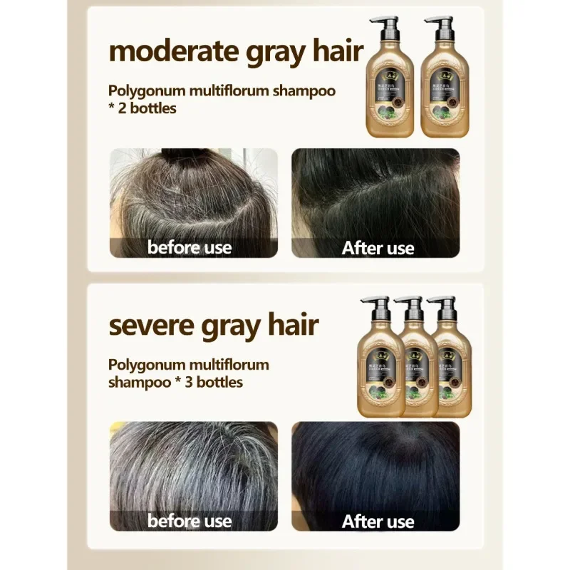 Natural Herbal Ganoderma Lucidum Black Hair Shampoo Permanent Effective White Turn Black Strengthen Hair Roots 520ml 4