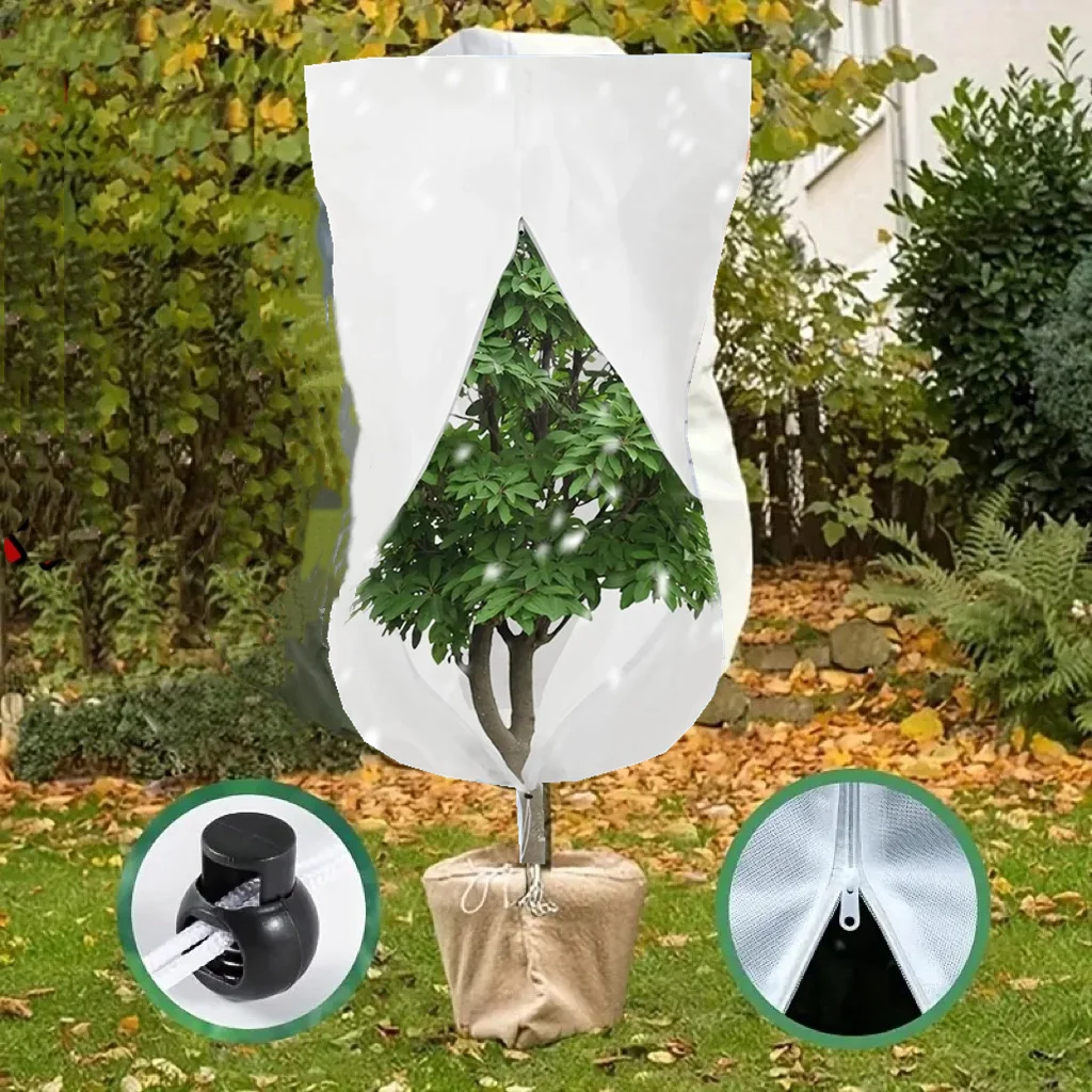 Shrub Plant Wind Protection
