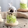 2sets/pack 9*11cm Ball Top Glass Dome Vase Home Deocration Flat Log Base Transparent Cover Wedding Live Prop Birthday Gift 2