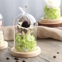 2sets/pack 9*11cm Ball Top Glass Dome Vase Home Deocration Flat Log Base Transparent Cover Wedding Live Prop Birthday Gift 2
