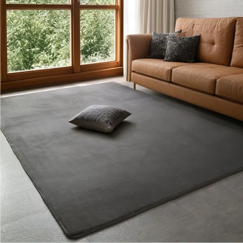 Grey Rugs Living Room Carpet Nonslip Bedside Coral Velet Rugs Large Soft Floor Rug Children Game Mat Rectangular Home Decoration 2