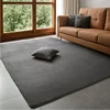 Grey Rugs Living Room Carpet Nonslip Bedside Coral Velet Rugs Large Soft Floor Rug Children Game Mat Rectangular Home Decoration 2