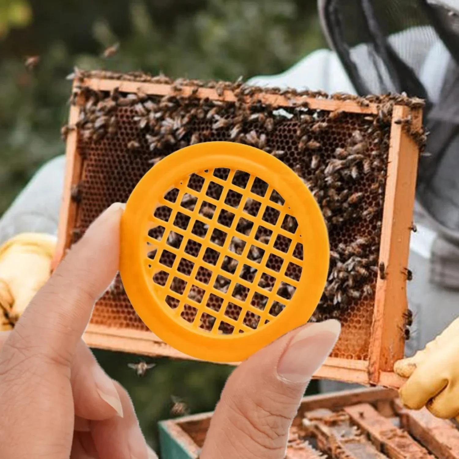 Slide image 6ce315e499be4d68882f1cc0d005f8f0