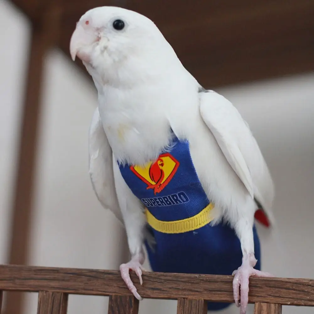 Tuta Da Volo Per Uccelli Per Parrocchetto Cockatiel Piccioni Pappagallo Urina Pantaloni Regolabile Superman Pappagallo Abbigliamento Pannolino Per Ucc