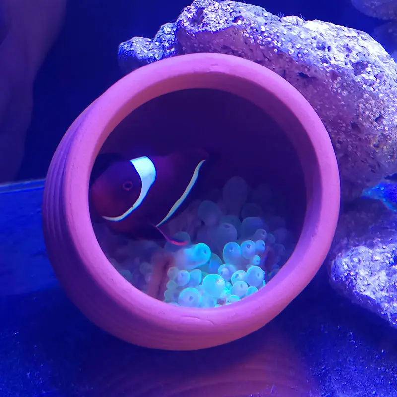 Fish Tank Ornaments Fish Tank Decorations Aquarium Ornaments Mini Landscape Ornaments Ceramics Jar Fish Tank Decoration Aquarium Shelter Cave for Amano Shrimp Cichlid Bonsai Fish Spawning Breeding to Play Hide Rest