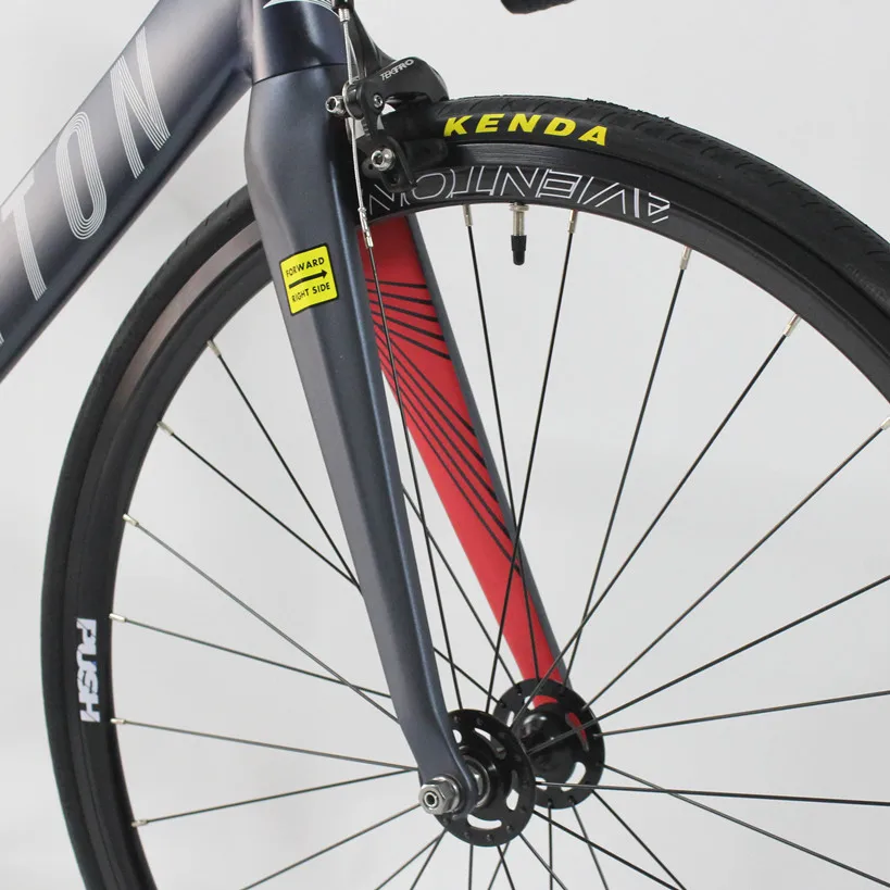 自転車本体 AVENTON MATARO Aventon Mataro Fixed Gear Bike - Midnight Blue - The Fixed