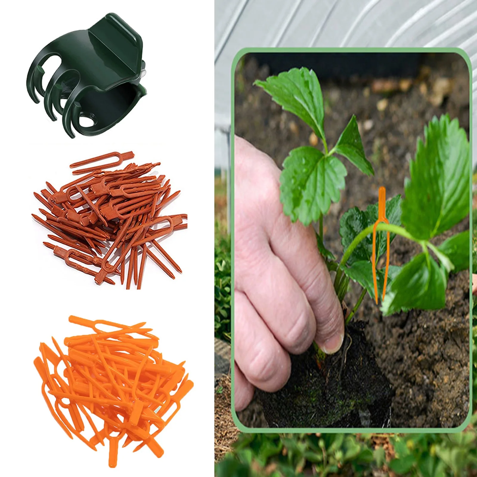 

100 Strawberry Planting Fixing Clips Climbing Support Garden Stem Fork Watermelon Fastening Fixture Clamp Vine Holder Stem Clips