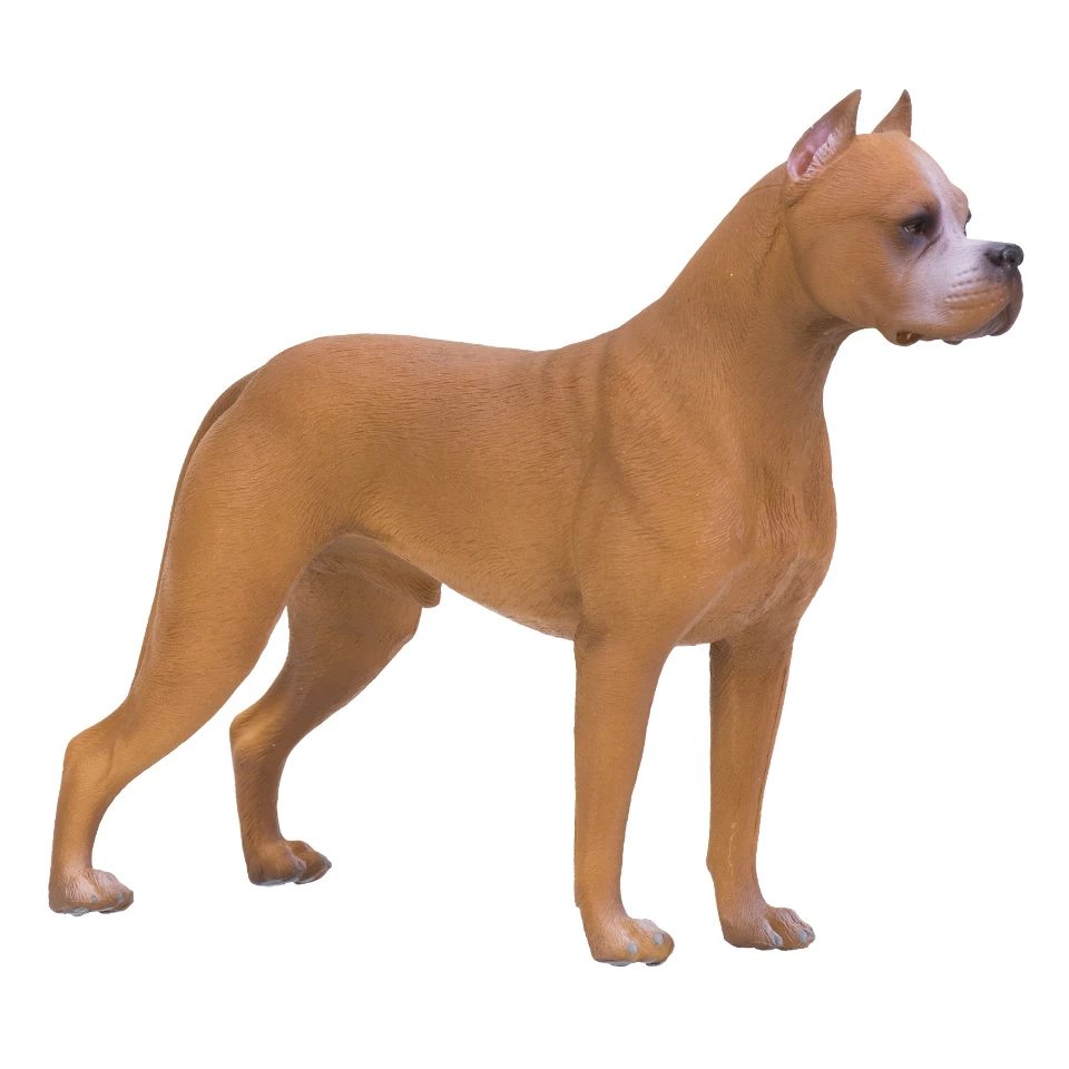 ū ǹ   ֿϰ  ƸƼ ۵  , ׼  峭 ǱԾ, Ŭ ÷ 峭,  