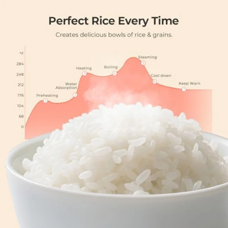 3.5-Cup Rice Cooker for 1-3 People Multifunctional for Rice Oatmeal Quinoa - Slow Cook Steam Cook Rice and Steam Dish Together 6