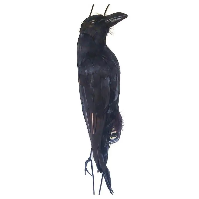 Realistico Hanging Dead Crow 1 Pack Large Halloween Black Piumed Crow Decoys Ravens Decorazioni Per Halloween All'Aperto Puntelli Decor