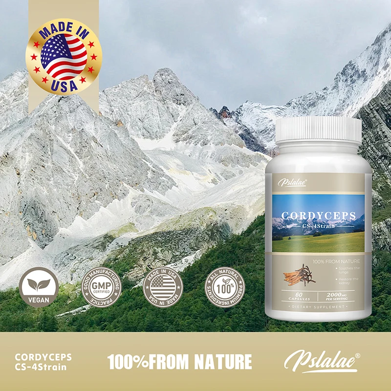 Cordyceps Energy Respiratory Immune Kidney Health Support