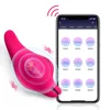 2022 New App Wireless Remote Control Wearable Vibrator Female Multi-frequency Adult Massage Sex Toys for Women Adult Toys 1