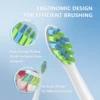 Replacement Toothbrush Heads with Covers for 7am2m AM101/AM105 Electric Toothbrush,10 Pack 4