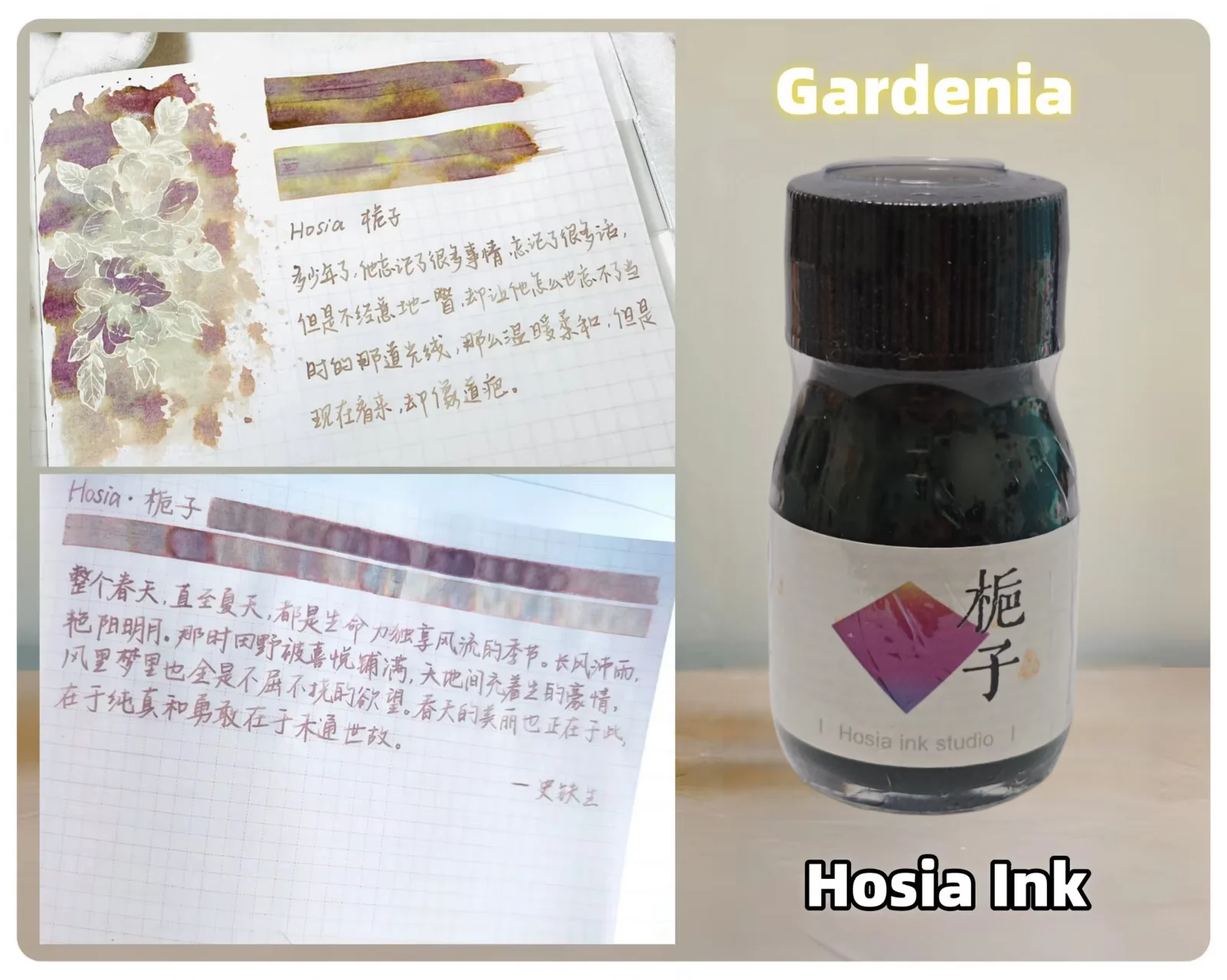 호시아 크로마토그래피 쓰기, 드로잉 잉크 30ml