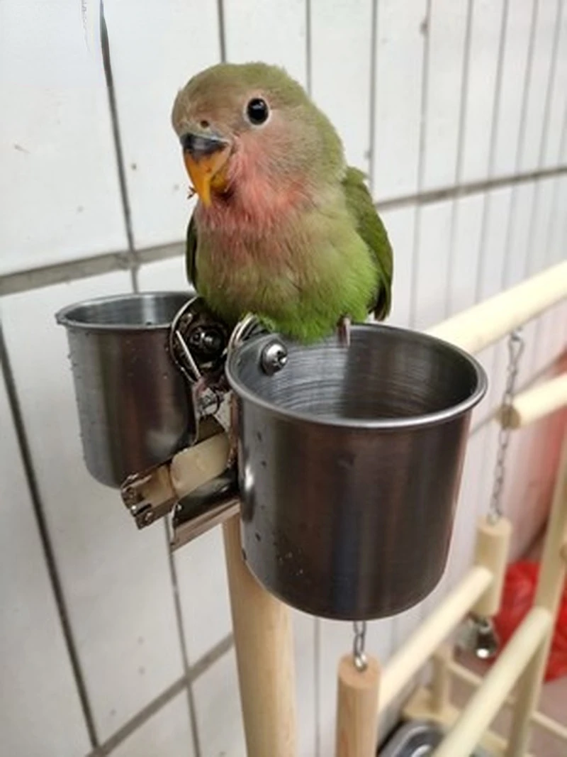 Wooden Parrot Play Stands Bird Swing Tray Cup Toys 53x23x36cm Hanging Ladder Bridge For Park Style Climbing Cage bird cage perches