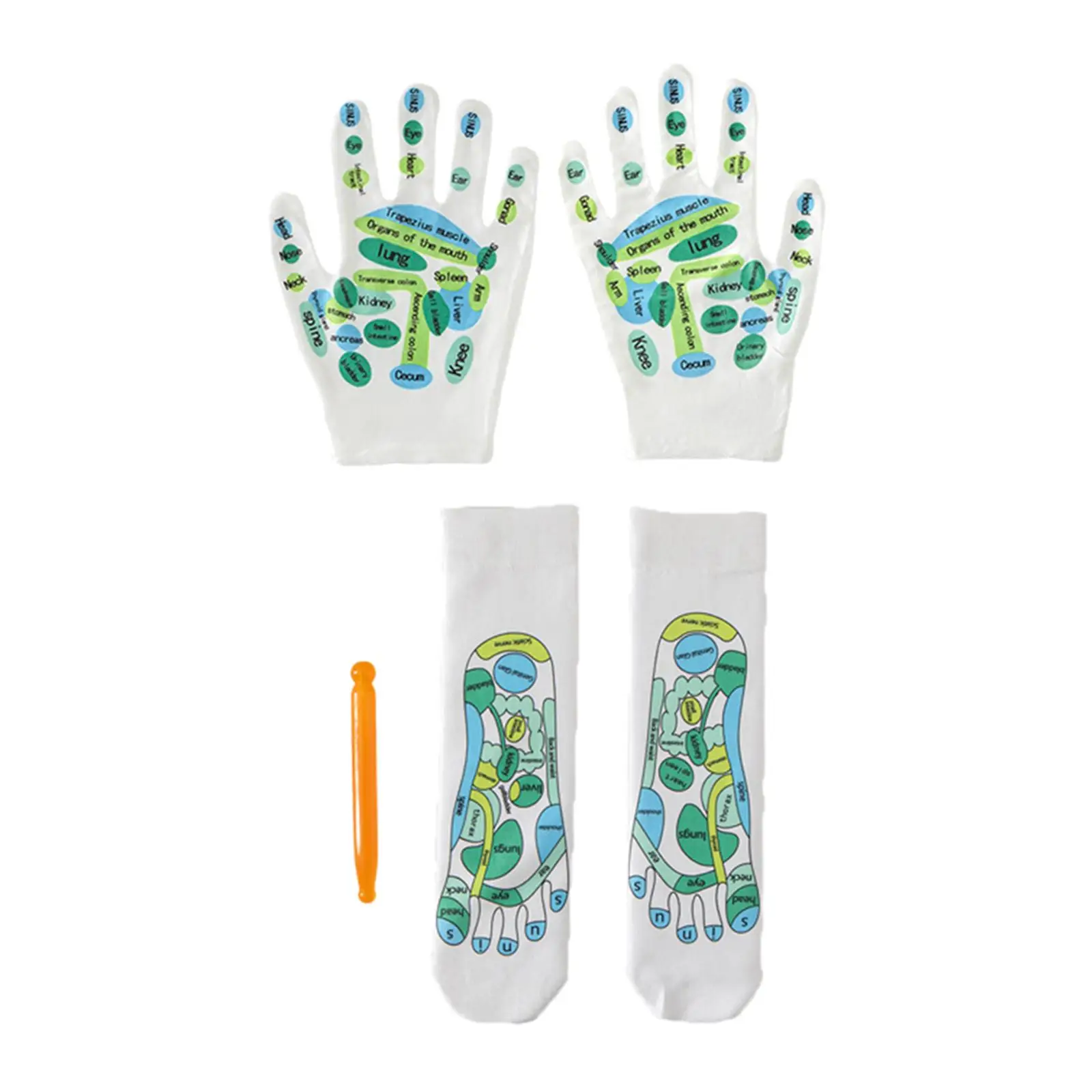 4Pcs Acupressure Reflexology Tools Set Acupoint Massage Tools Five Finger Socks Breathable Acupoint Schematic Socks for Beginner