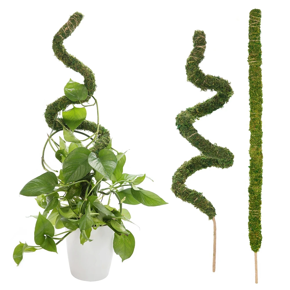 Artificia Moss Pole Monstera Plant Stakes for Indoor Climbing Plants