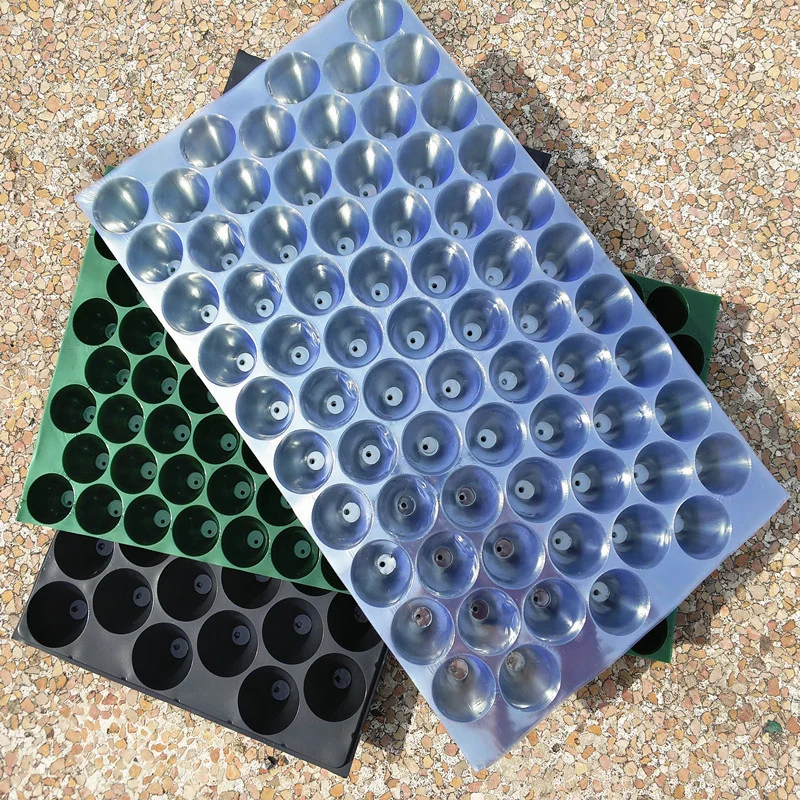 Plant Nursery Tray 48 or 54 Holes Plastic Planting Nurture Box Garden Flowers Fruit And Vegetable Transplanting Supplies Tools 5