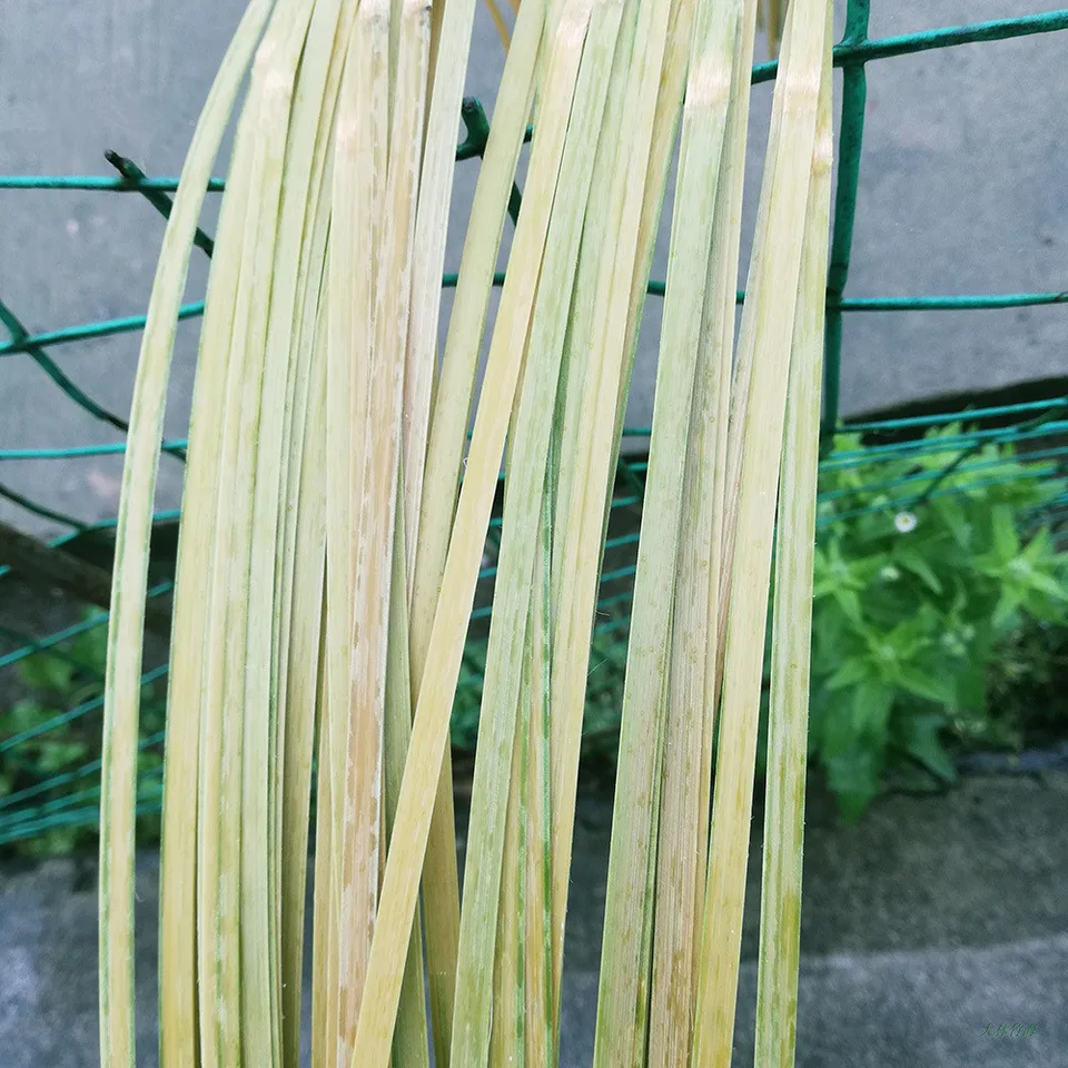 Bamboo Strips For Weaving, Cane Webbing Basket Making Supplies Strips Coil Flat Reed, Bamboo Canes Craft Flat Cane Webbing For DIY Craft Rattan Materials DIY Handicraft (10 Feet Long 7Pcs In A Bundle - Foto 2