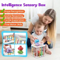 Baby Montessori Shape Sorter Cube Rainbow Colorful Blocks Sorting Game Infant Cognitive Grip Training Learning Educational Toy 3
