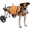 Adjustable Dog and Cat Wheelchairs for Mobility Assistance with Disabled Rear Legs