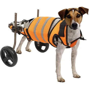 Adjustable Dog and Cat Wheelchairs for Mobility Assistance with Disabled Rear Legs