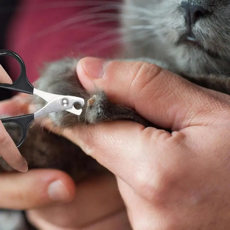 Cat Nail Scissors Pet Dog Nail Clippers Toe Claw Trimmer Professional Pet Grooming Products for Small Puppy Dogs Cat pet nail clipper,pet nail scissors