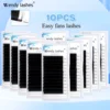 Wendy Lashes 10pcs Wholesale Eyelash Easy Fan Lash Extension Soft Faux Mink Natural Lash Russian Volume Fake Eyelashes Supplies 1