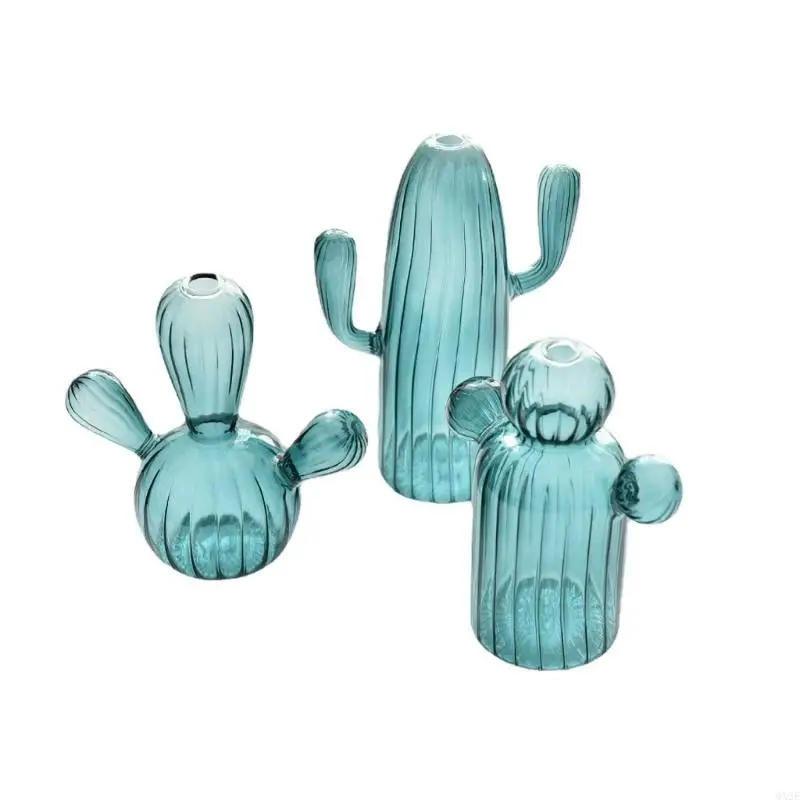 QX2E Cactus Glass Vase Hydroponics Plant Flowerpots Livingrooms Decorations for Bedroom 2