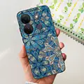 Case-c66
