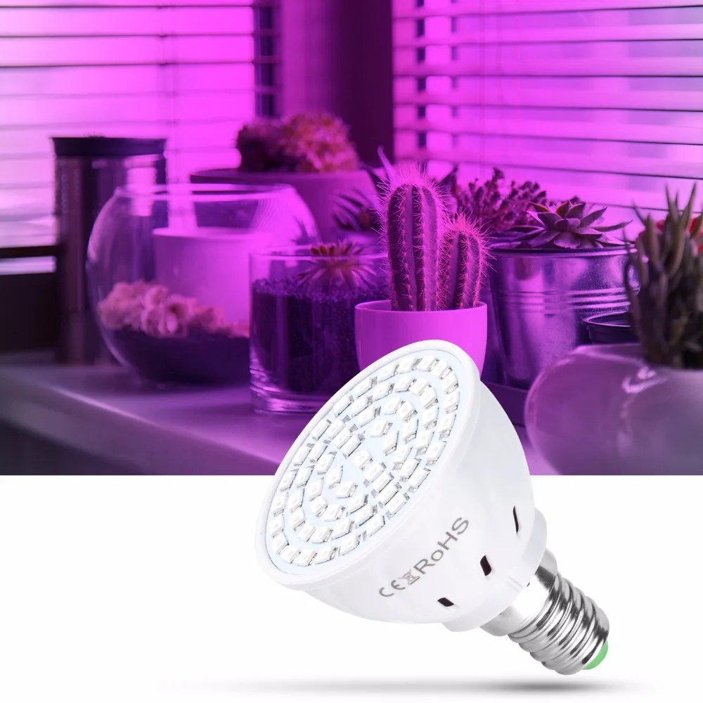 Grow Light AC220V E27 Phyto Lamps E14 Led Fitolampy GU10 Lamp For Plants B22 Full Spectrum Seedling Bulb MR16 Led UV IR 4W 6W 8W