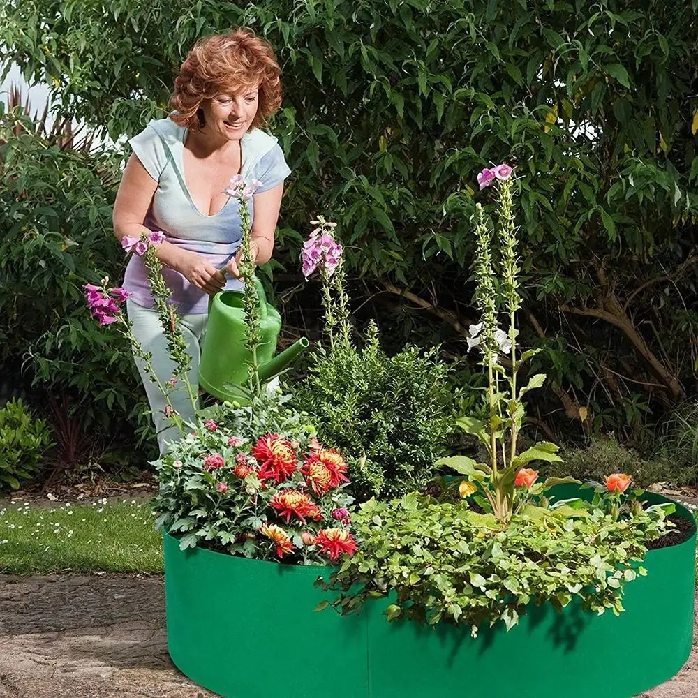 Top view of grow bag showing soil aeration