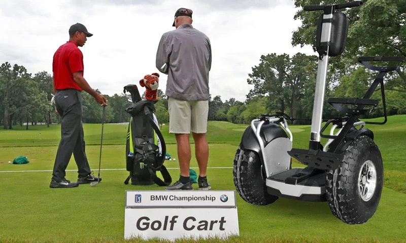 Smart Scooter Electric Chariot with Golf Bag Holder