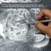 KALOUR Detail Eraser Pencil-6pc Eraser Pencils with Brush 2pc Sharpener,Erasing Small Details or add Highlights for Sketching 5