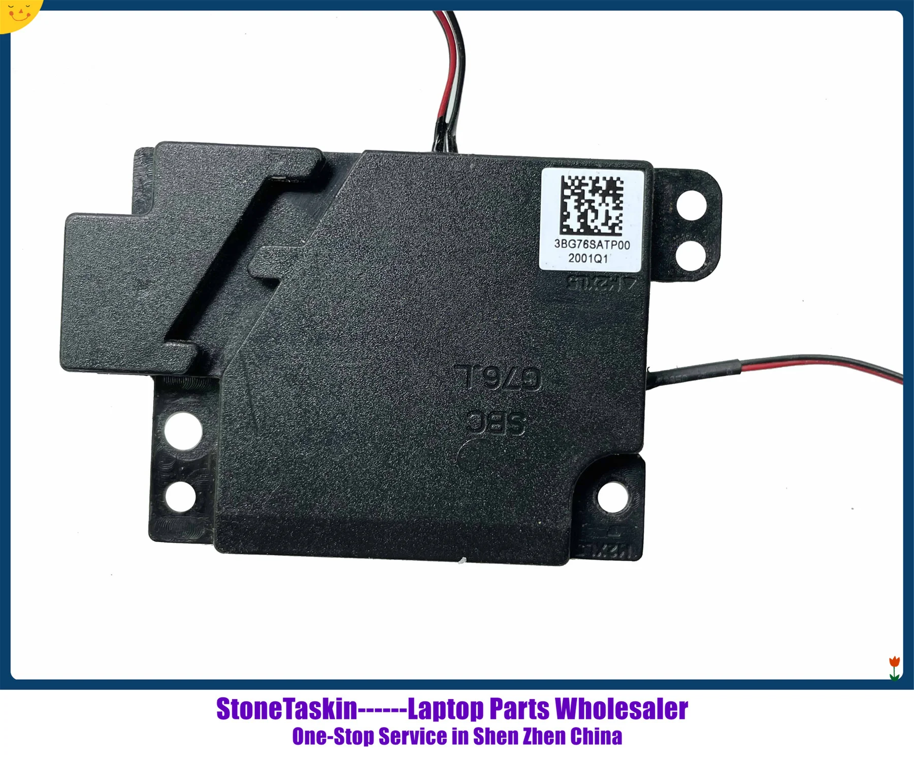 3BG76SATP00 (1).jpg