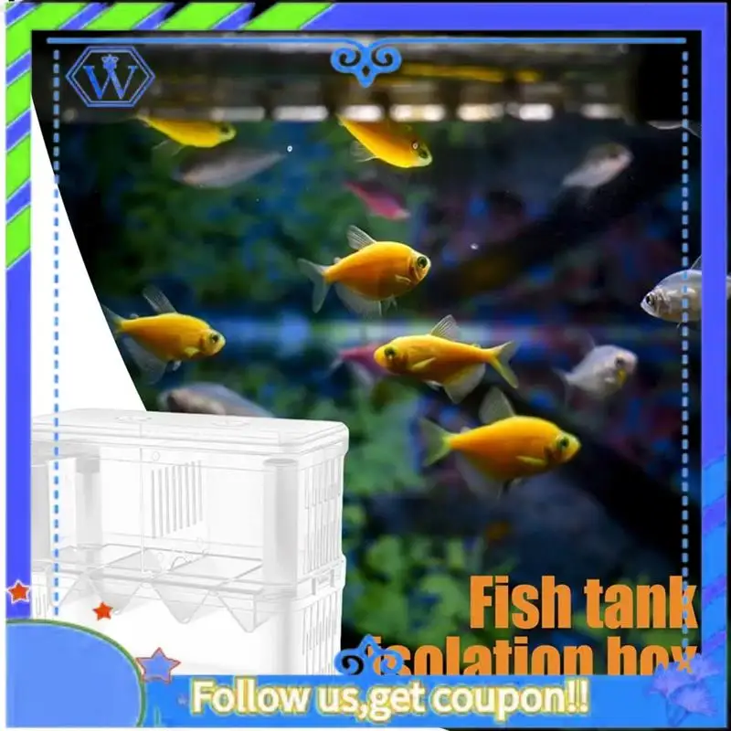 Easy To Use Fish Breeding Box Double-Layer Acrylic Breeding Tank Isolation Box Transparent Detachable Hatching For Guppy Shr