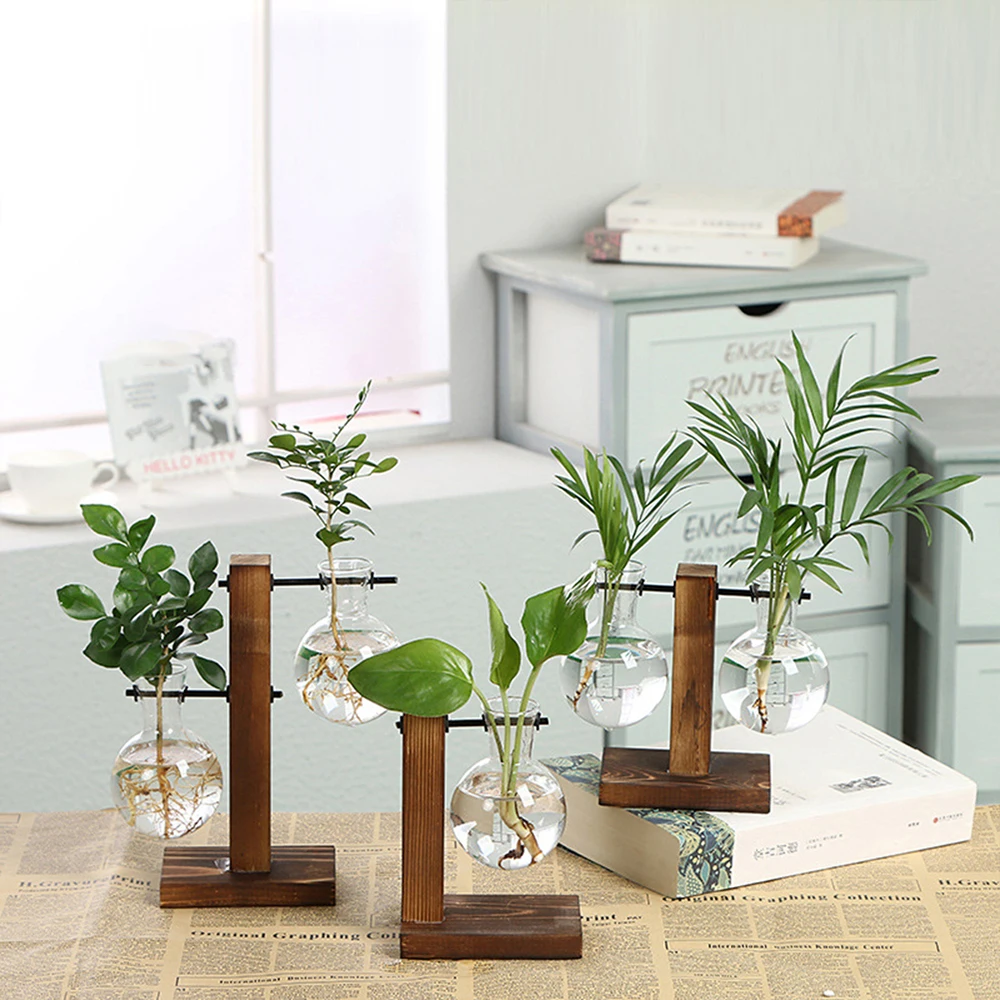 Elegant Glass Planter Vase - Indoor Desk Decor & Gardening Gift