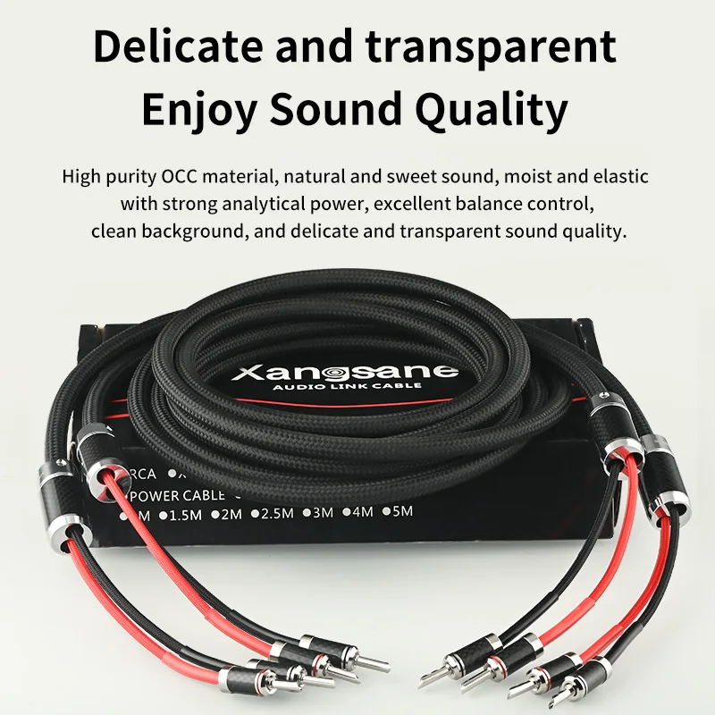 G4 audio ARAYA+DNA1＋Pentaconn Cable Nox G4 audio ARAYA+DNA1＋Pentaconn Cable Nox ISN Audio G4