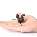 Polish chicken-2