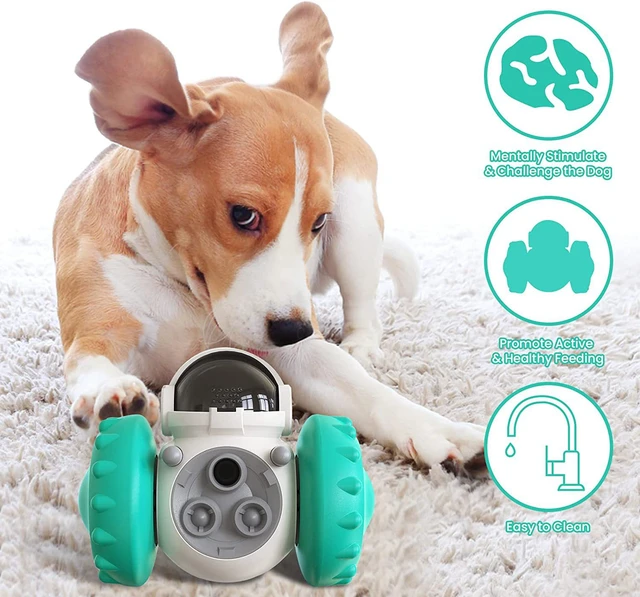 Dog Toys Cat Balance Car Slow Feeder Puppy Tumbler Bowl MultiFunctional  Puzzle Toy Exercise Game Feeding Device Dog Accessories - AliExpress