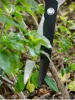 Green Grass Shears Garden Greening Shrub Fence Lawn Bonsai Shape Pruning Sharp and Durable 3